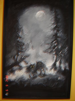 DSC00037