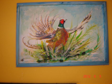 DSC00038