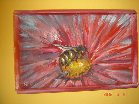 DSC00040