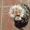 DSCF5827