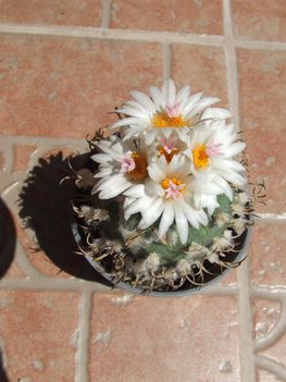 DSCF5828