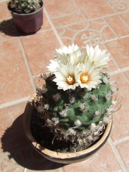 DSCF5830