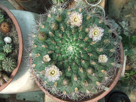DSCF5836