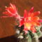 DSCF5843
