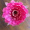 DSCF5848