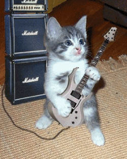 gitározó macsek
