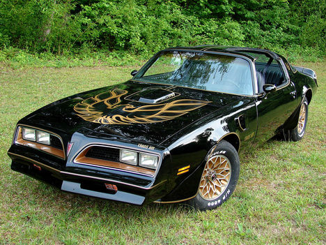 pontiac_firebird-trans-am-1977-79_r10