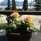 The Urban Gardan