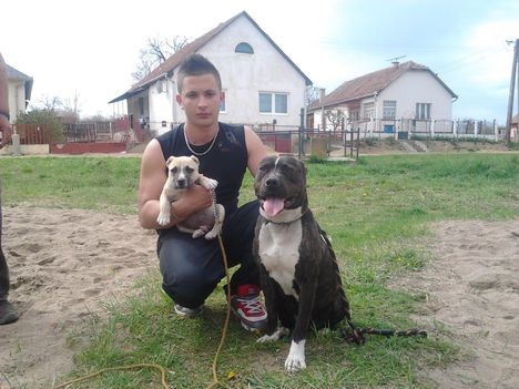 Fiam és a két Pit