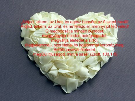 ÁLDJON MEG MINKET AZ ÚR. ÁMEN.