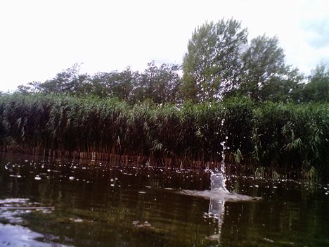 csobbanás