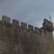 DSCF4197