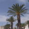DSCF4423