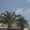DSCF4445