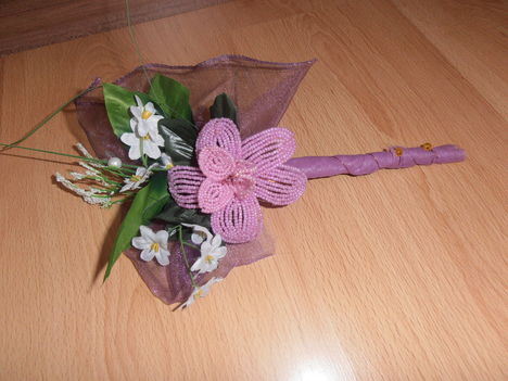 Orchidea.