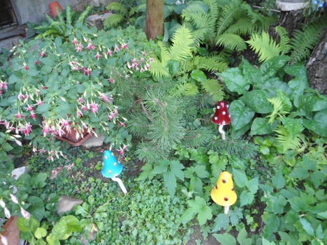 DSC00163