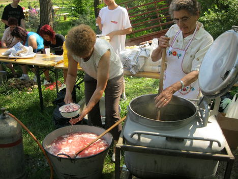 majális 2012 074