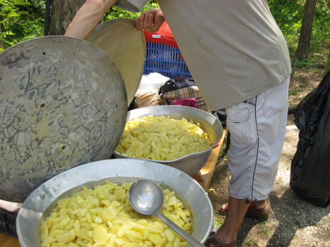 majális 2012 155