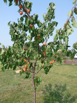 P1450580