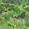P1450971