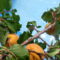 P1460030