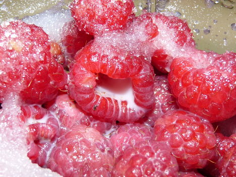 P1460133
