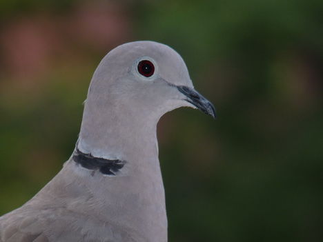 P1460239