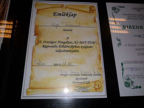 Székely testvérek kiállítása  2012 13