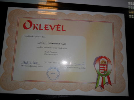 Székely testvérek kiállítása  2012 6