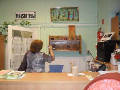 Székely testvérek kiállítása  2012 6