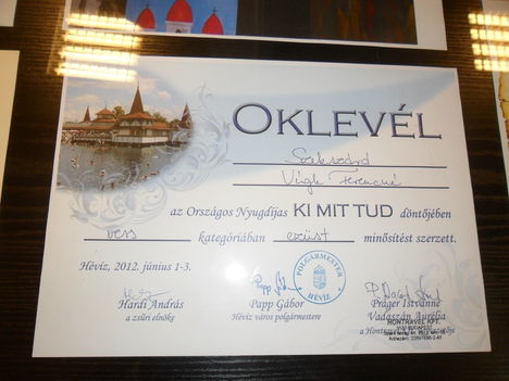 Székely testvérek kiállítása  2012 9