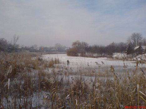 DSC00798