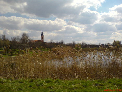 DSC01117