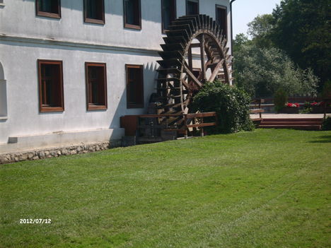 LPIC5133