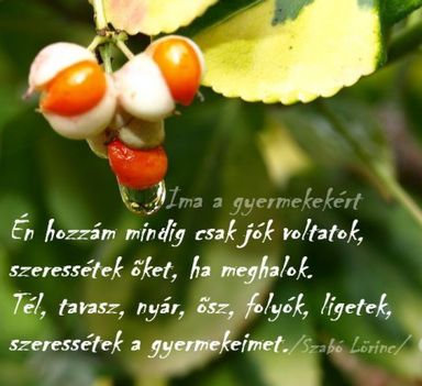 szabo-lorinc-ima-a-gyermekekert
