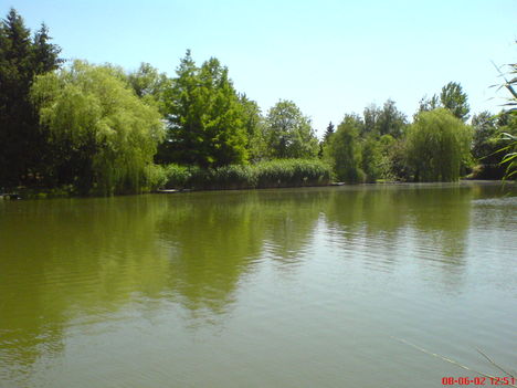 VÍZ 10