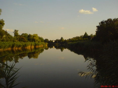 VÍZ 12