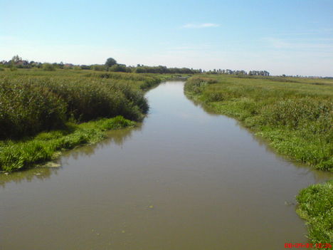 VÍZ 13