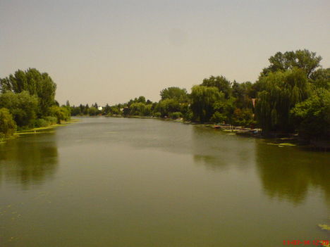 VÍZ 19
