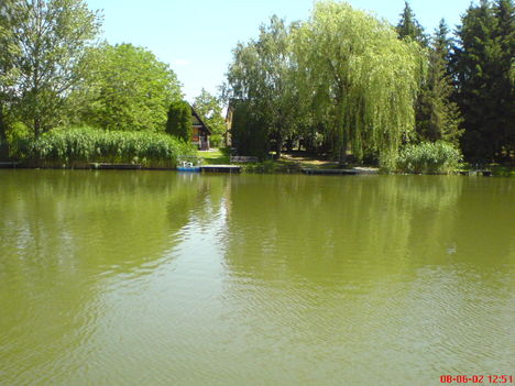 VÍZ 1