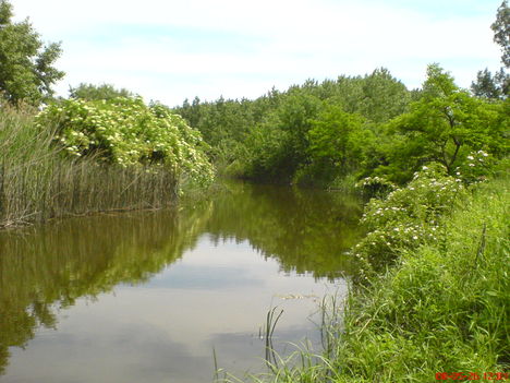 VÍZ 23