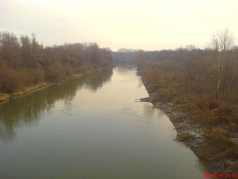 VÍZ 6