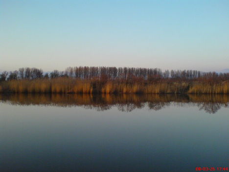 VÍZ 7