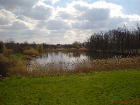 VÍZ 8