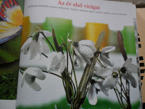 horgolt virág minta 11