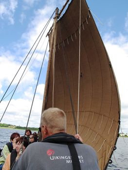 Viking hajón