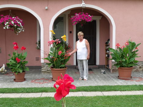 2100 Hibiszkusz Újkér 013