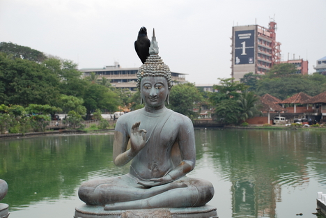 Buddha szobor Colomboban