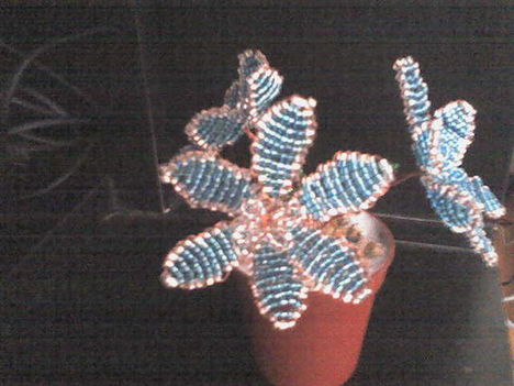 Kék Virág 3