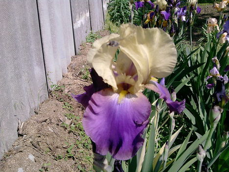019